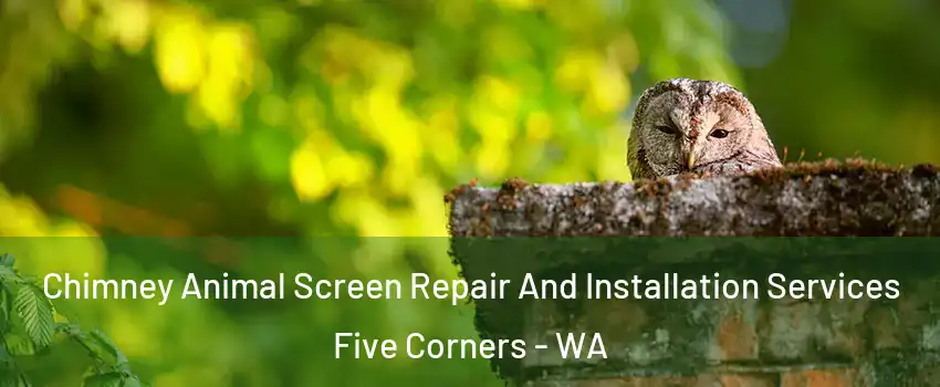 Chimney Animal Screen Repair And Installation Services Five Corners - WA