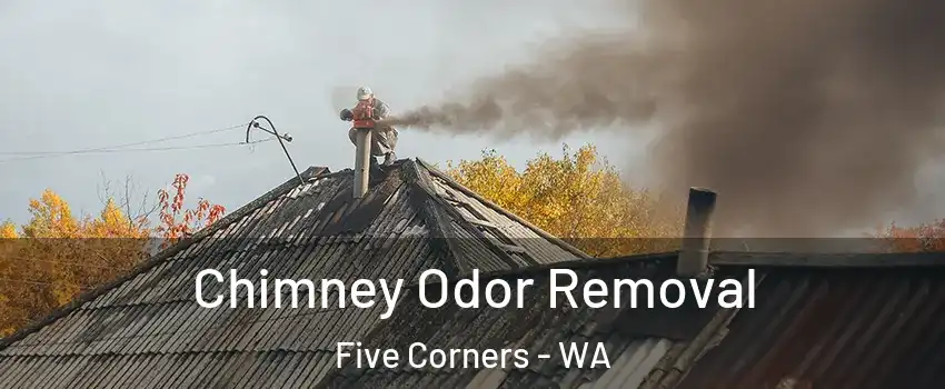  Chimney Odor Removal Five Corners - WA