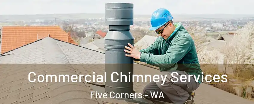 Commercial Chimney Services Five Corners - WA