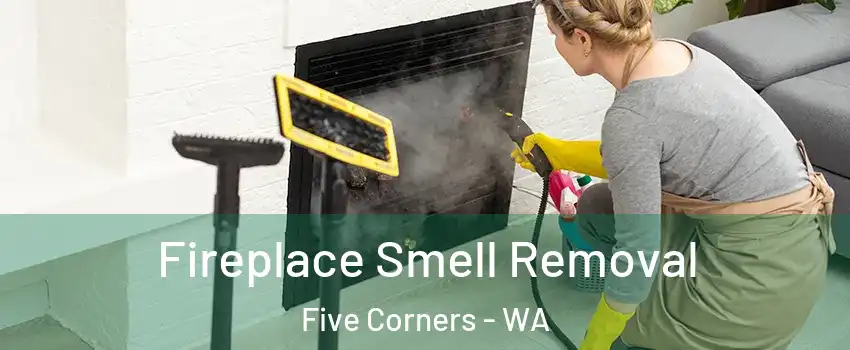  Fireplace Smell Removal Five Corners - WA