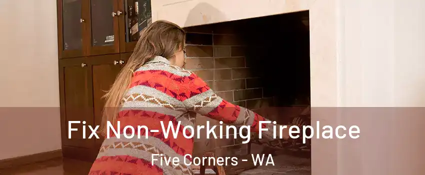  Fix Non-Working Fireplace Five Corners - WA