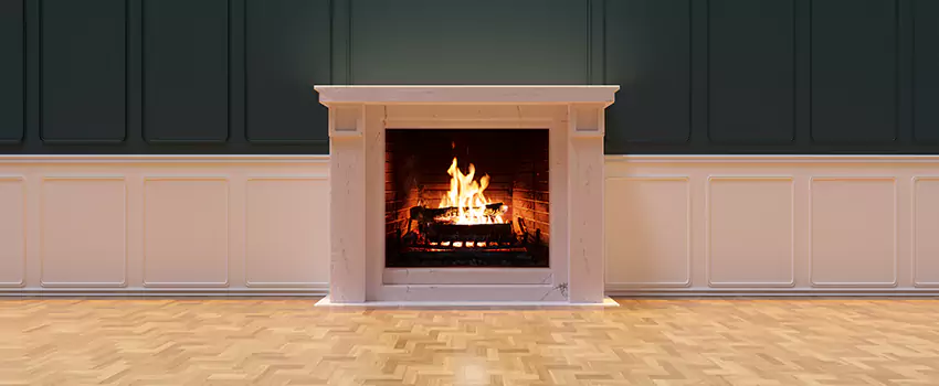 Napoleon Electric Fireplaces Inspection Service in Five Corners, Washington
