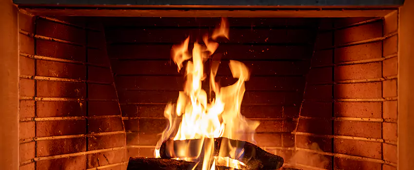 Soot Cleanup Services in Five Corners, WA