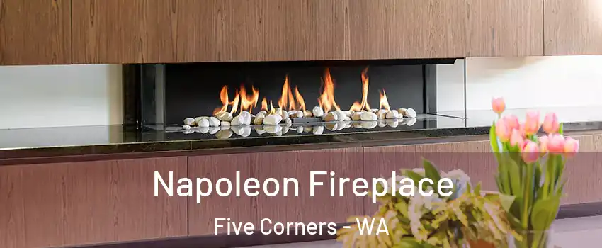  Napoleon Fireplace Five Corners - WA