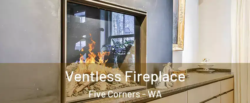  Ventless Fireplace Five Corners - WA